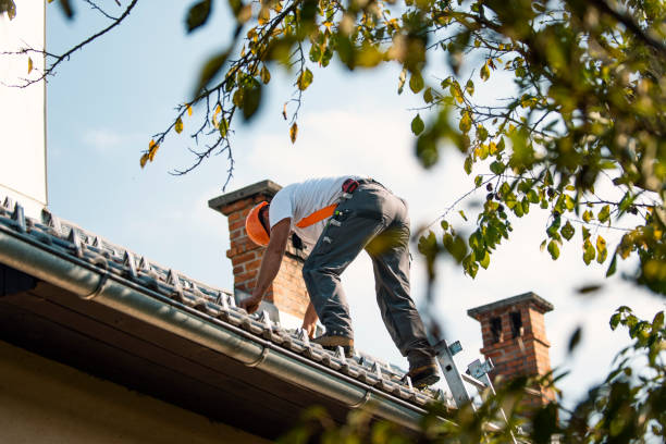 Best Roof Gutter Cleaning  in Fort Belvoir, VA
